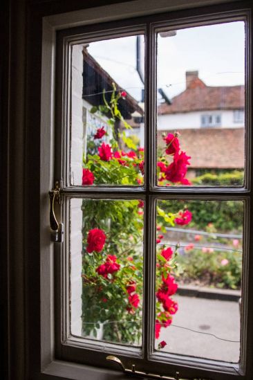 window looking out onto a red rose push
